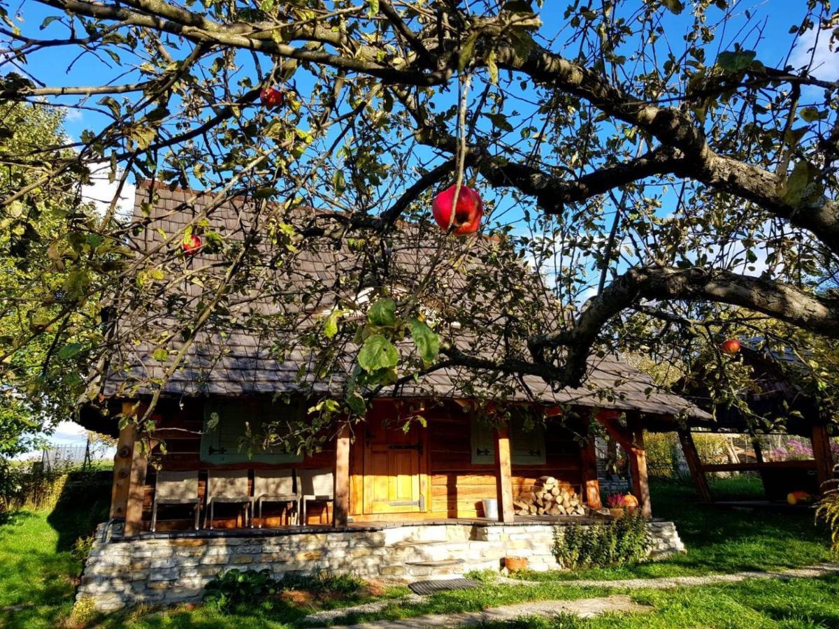 Jabloniowy Sad Kalwaria Paclawska Villa Exteriör bild