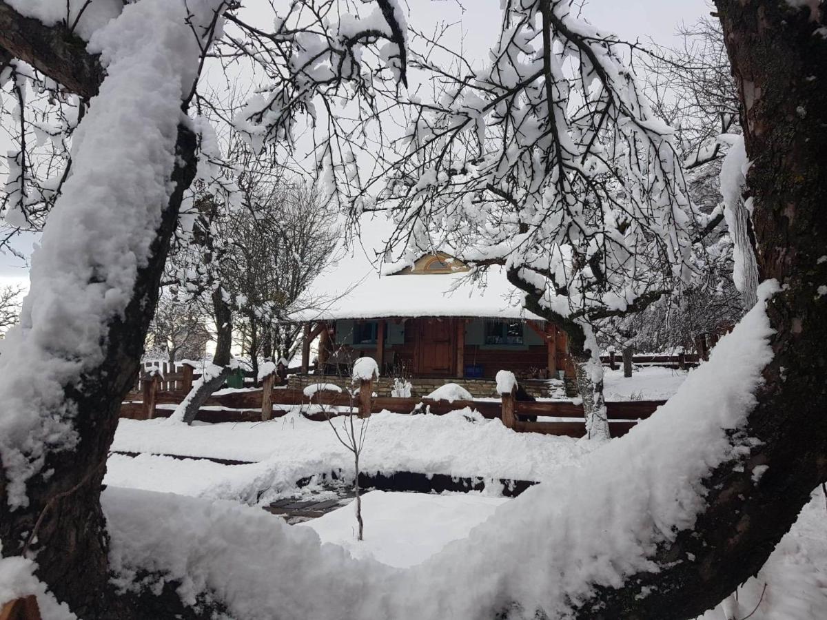 Jabloniowy Sad Kalwaria Paclawska Villa Exteriör bild