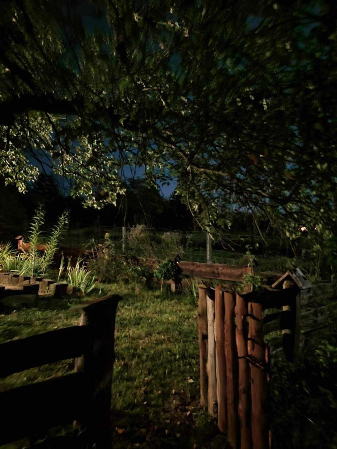 Jabloniowy Sad Kalwaria Paclawska Villa Exteriör bild