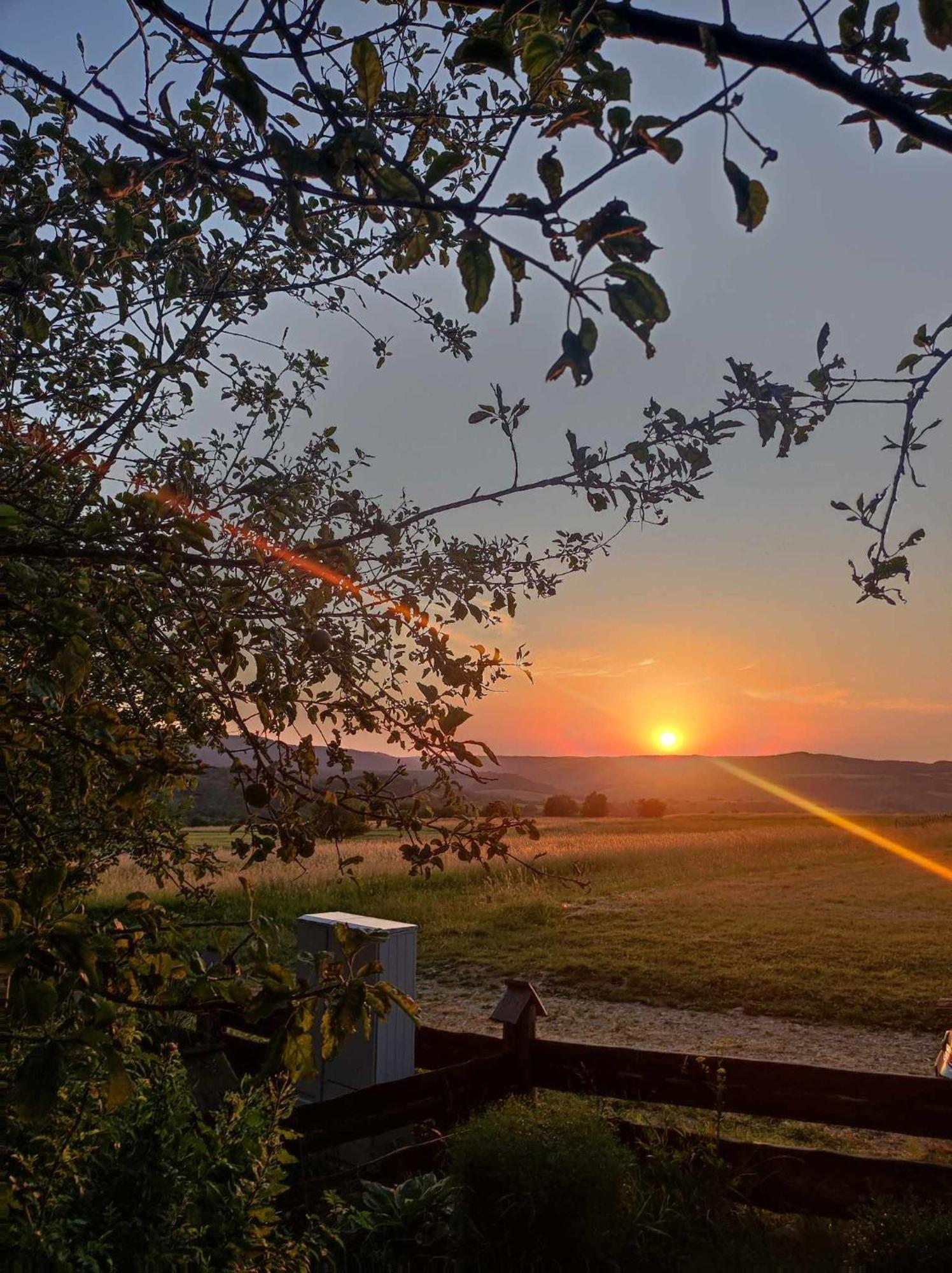 Jabloniowy Sad Kalwaria Paclawska Villa Exteriör bild